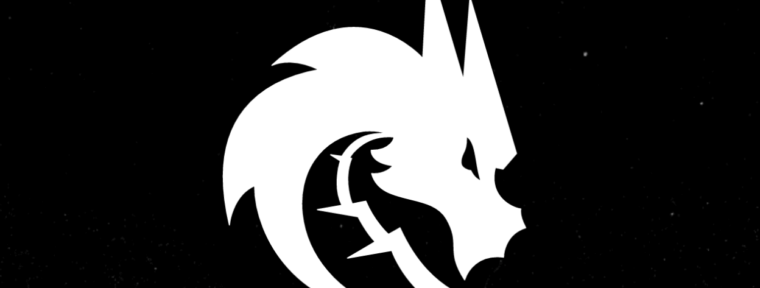 От ноунеймов к чемпионам: История команды Team Spirit