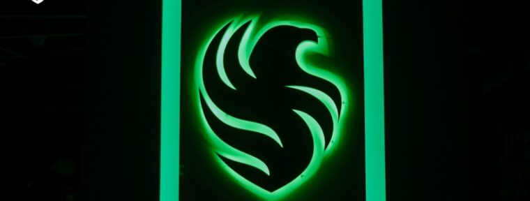 Шейхи в киберспорте: История команды Team Falcons