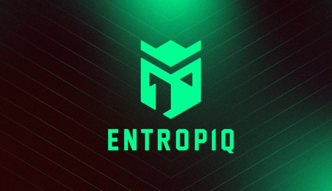 Entropiq отправляют трёх игроков в резерв