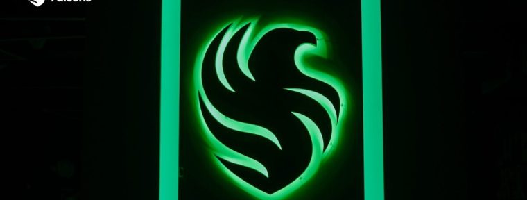 Организация Team Falcons представила новую форму для своих игроков