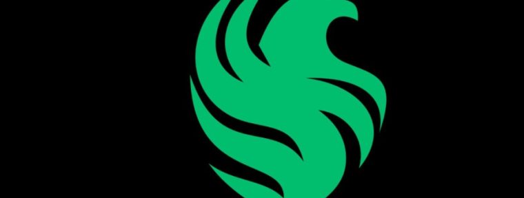 YNk высказался о будущих изменениях состава Team Falcons