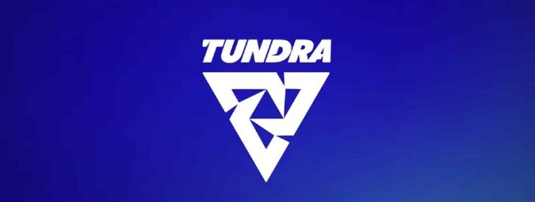Tundra Esports одолели Wildcard и прошли в плей-офф FISSURE PLAYGROUND 1 — Dota