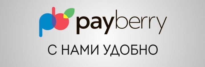 Логотип Payberry