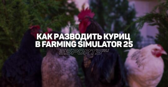 Как разводить куриц в Farming Simulator 25