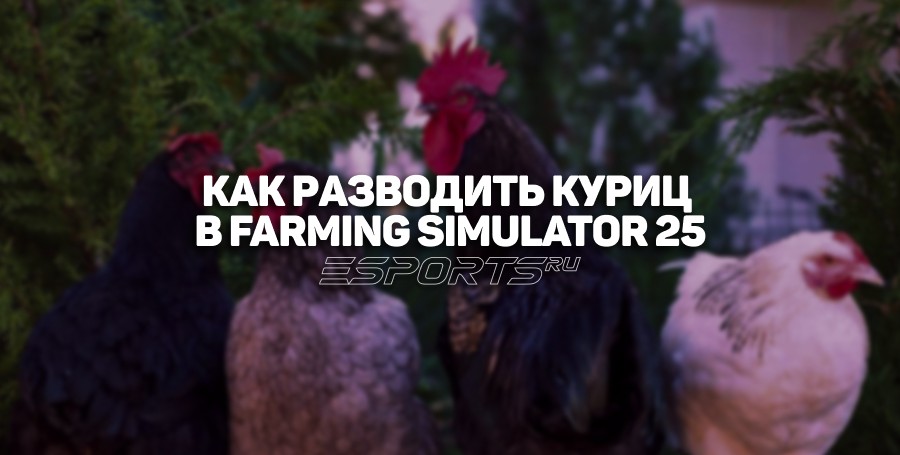 Как разводить куриц в Farming Simulator 25