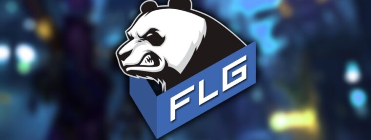 Fluffy Gangsters представили двух новых игроков состава