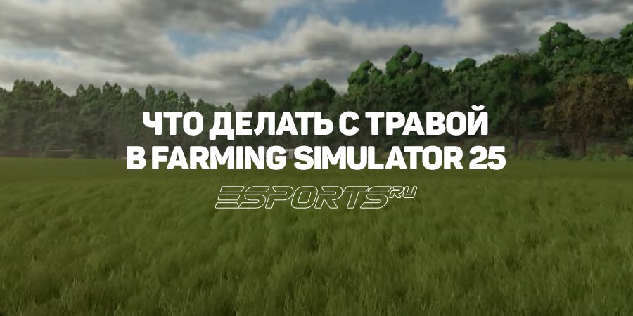 Что делать с травой в Farming Simulator 25