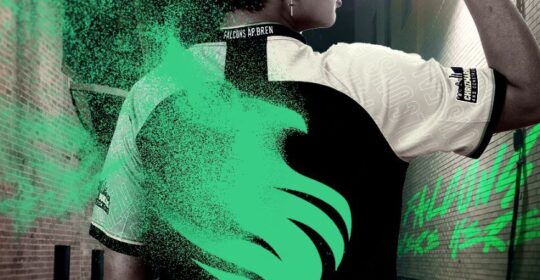 Team Falcons прекратили сотрудничество с AP.Bren