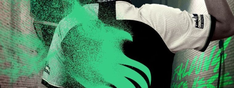 Team Falcons прекратили сотрудничество с AP.Bren