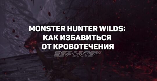 Как остановить кровотечение в Monster Hunter Wilds