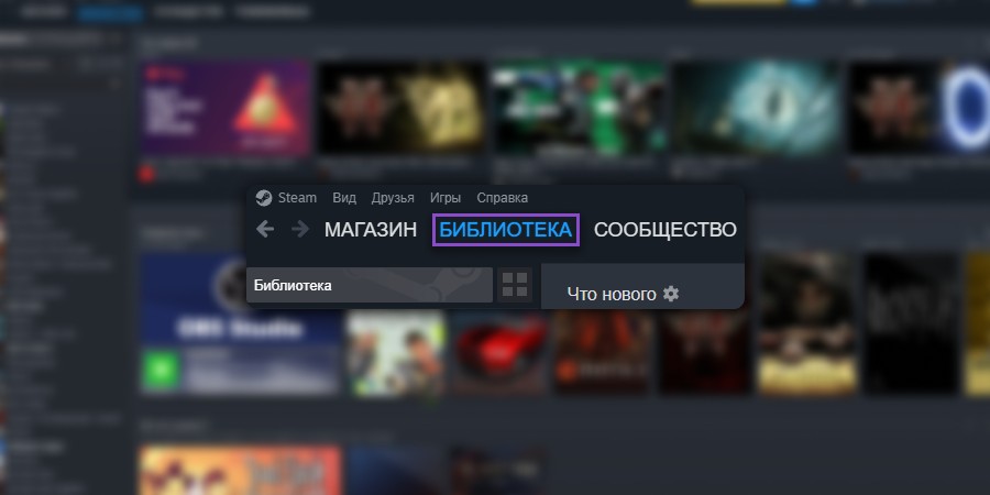 Скрин раздел "библиотека" в Steam