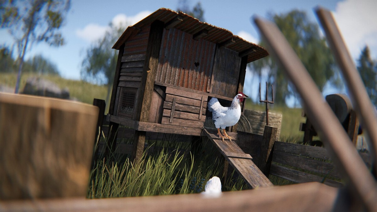 Курятник Rust