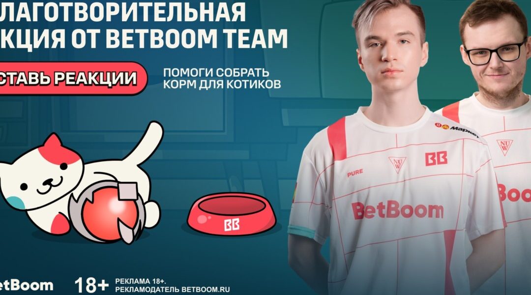 BetBoom Team запустили благотворительную акцию в честь Дня кошек