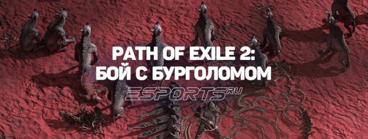 Как победить Бурголома в Path of Exile 2