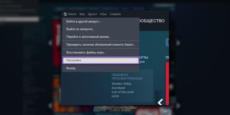 Где найти настройки в стим