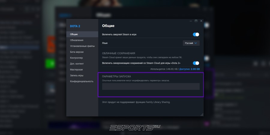 Общий свойства в Dota 2 и строка, где нужно вводить команды для параметров запуска