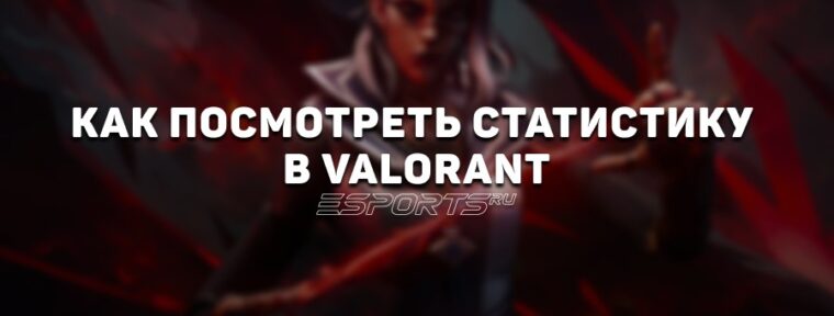 Как посмотреть свою статистику в VALORANT