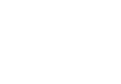 Edge логотип команды
