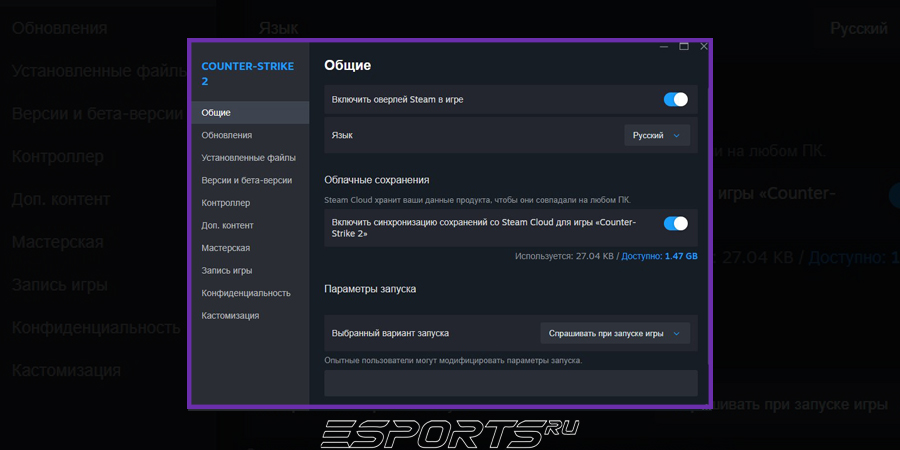Параметры запуска в Steam