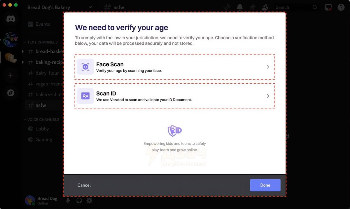 Discord проверка возраста