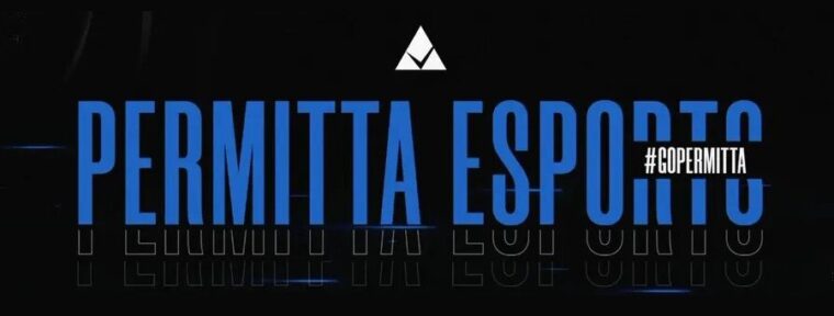 Kre1N о дизбанде Permitta: «Руководство не было удовлетворено результатами»