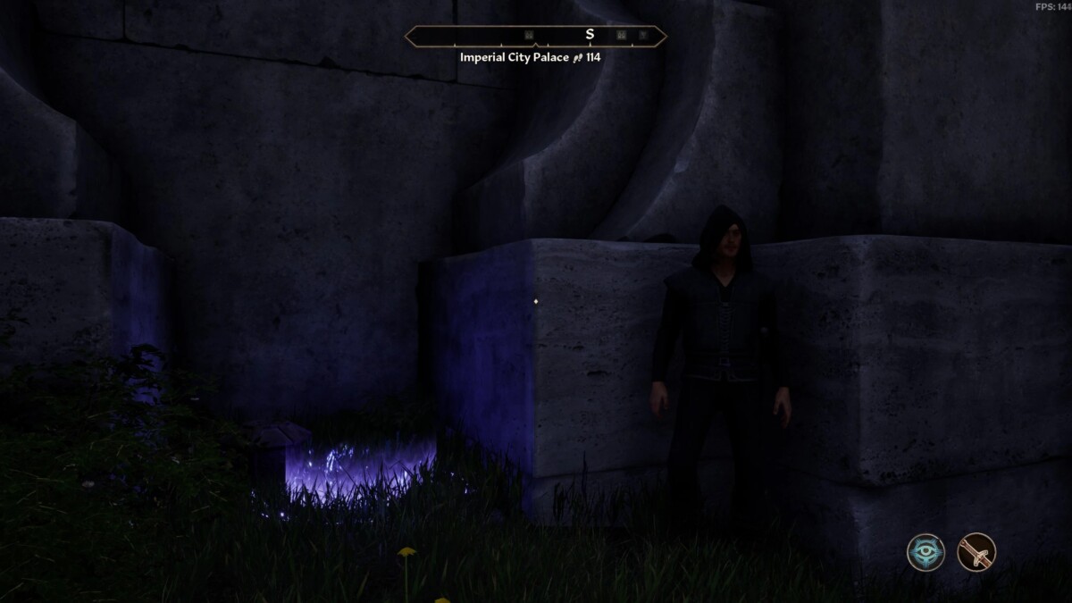 The Elder Scrolls IV: Oblivion Remastered All Armors Playable