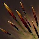 Способность Quill Spray Bristleback Dota 2