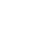 Team Spirit Academy