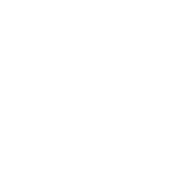 Rival Esports