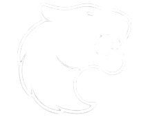 FURIA Esports