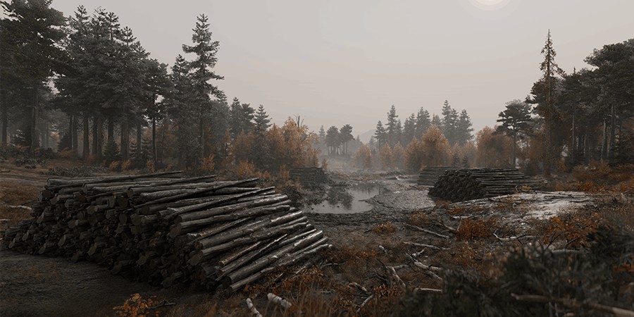 RoadCraft — лесоповал в пасмурных болотах