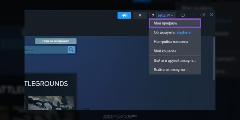 Главная страница Steam
