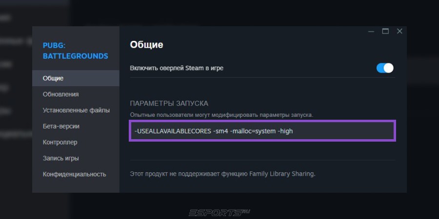 Steam Launch Options PUBG