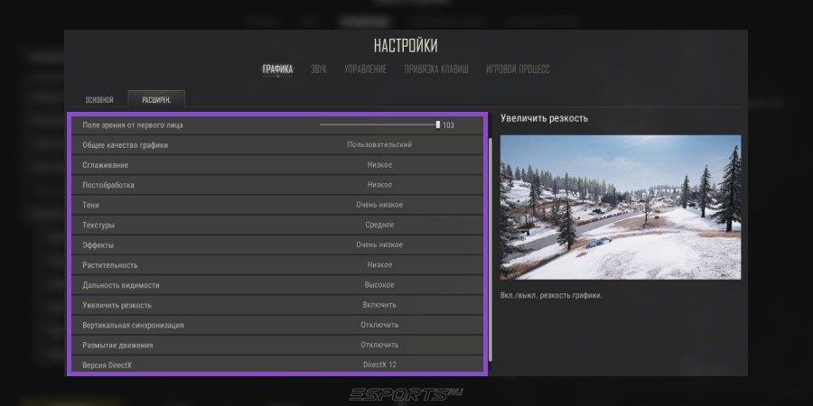 Расширенные настройки PUBG