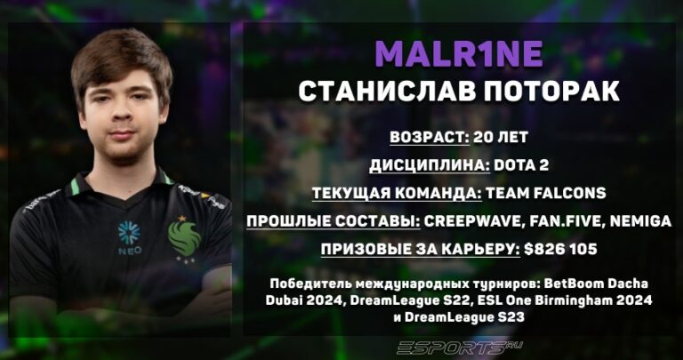 Статистика Станислава “Malr1ne” Поторака за год в Dota 2