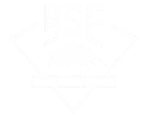 Black Shrew Esport