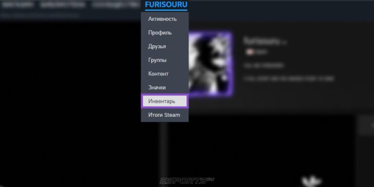 Перейдите в свой инвентарь Steam