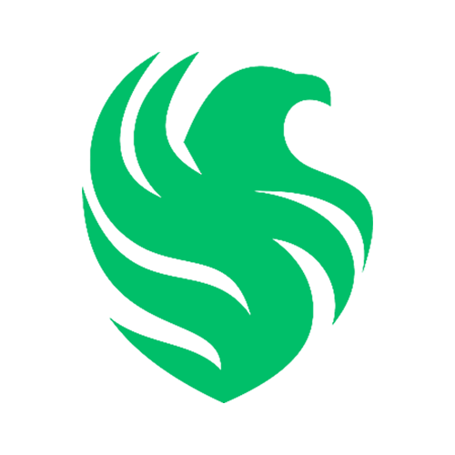 Team Falcons/Тим Фэлконс