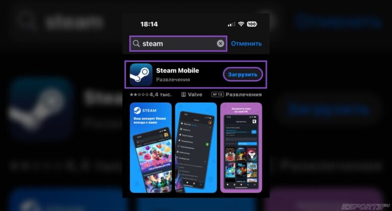 Приложение стим для стим гуард