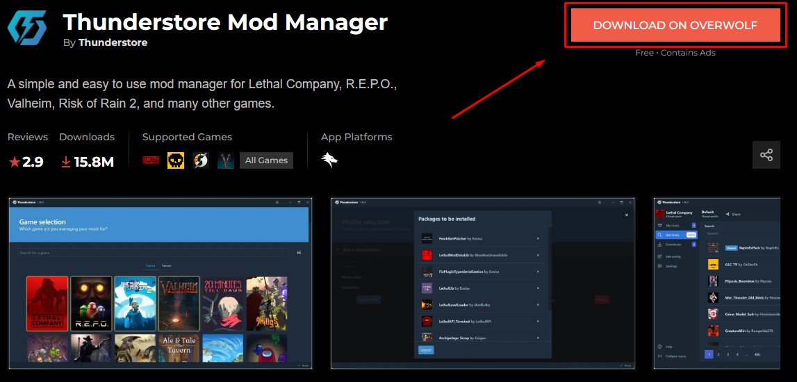 Thunderstore Mod Manager PEAK