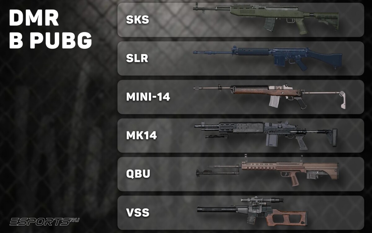 Designated Marksman Rifle в PUBG