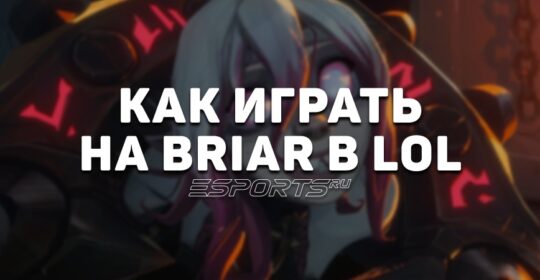 Лавка мини-гайдов: лес Брайер — как играть на герое в League of Legends
