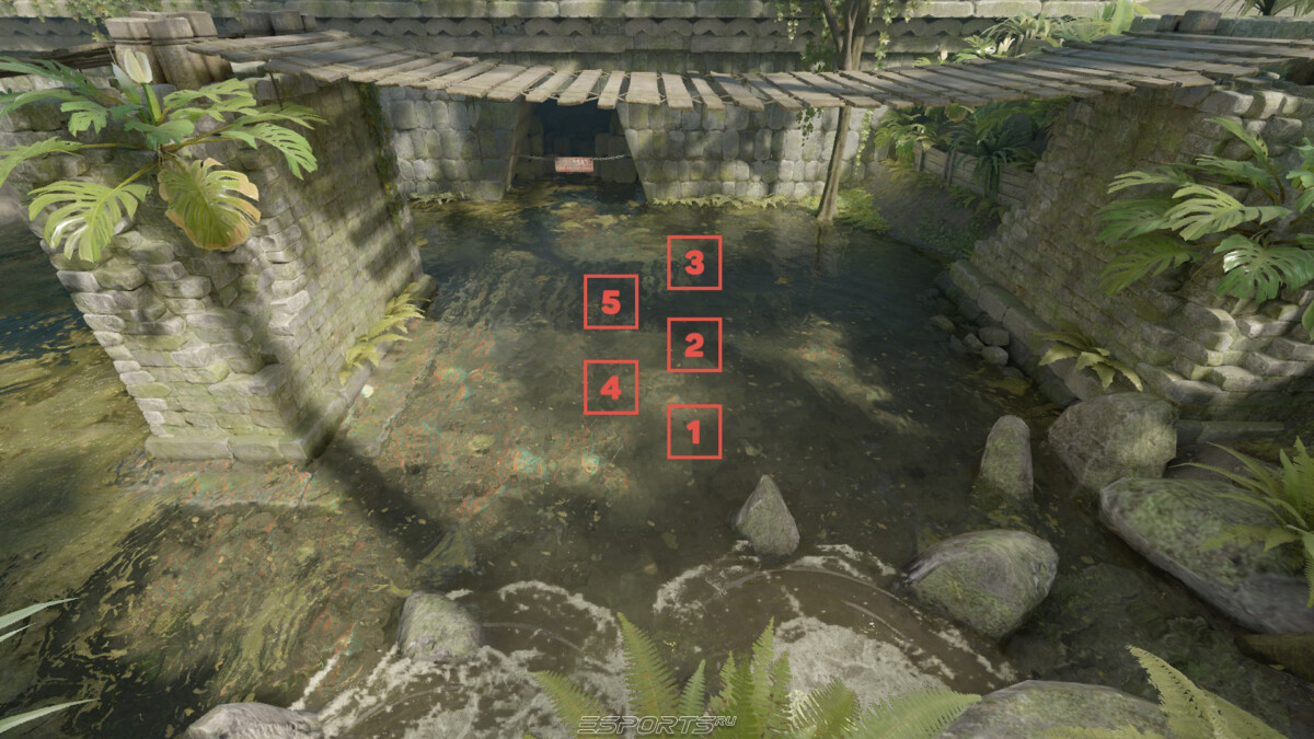 Спавны на эншенте за Т