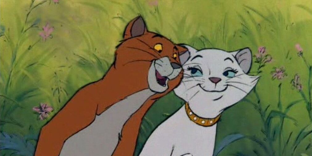 &laquo;Коты-аристократы&raquo; 