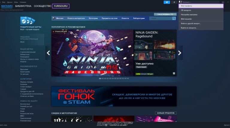 Стим профиль