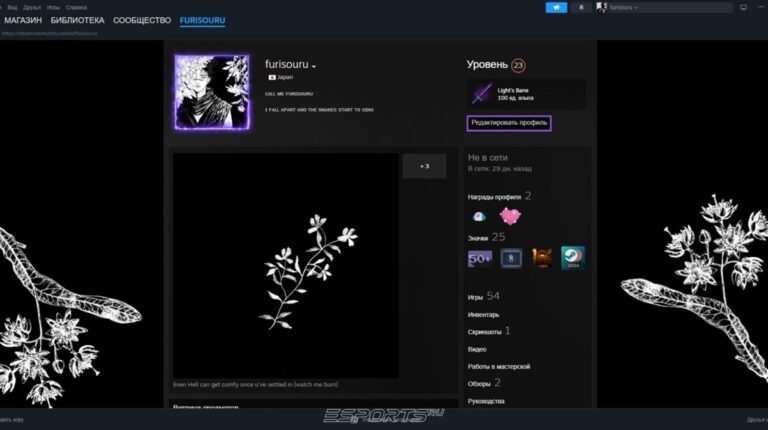 приватность профиля стим