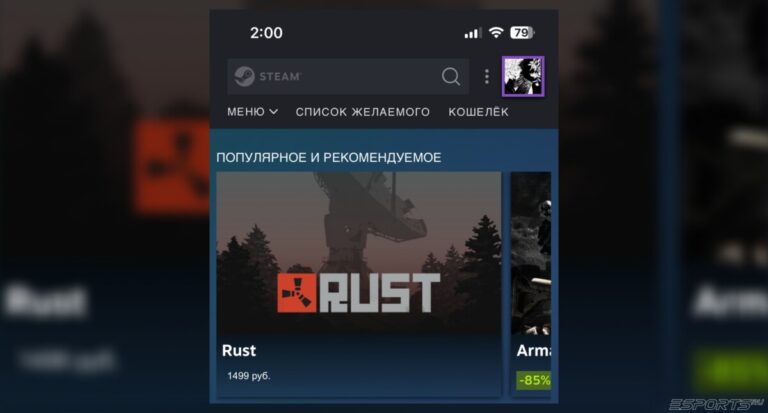 как открыть инвентарь в стиме на телефоне