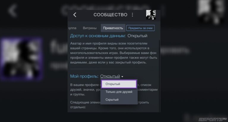 как сделать открытый инвентарь в стиме