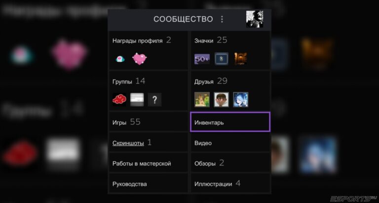 где инвентарь в стиме на телефоне