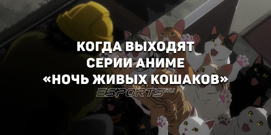 Когда выходят новые серии аниме «Ночь живых кошаков»